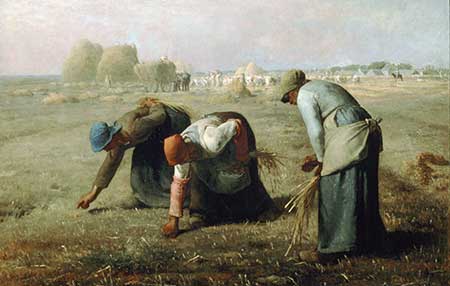 Dos modos de ver la vida del campo
